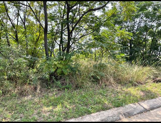 LAND FOR SALE IN EVERGLADES ESTATE